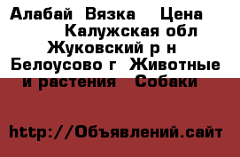 Алабай. Вязка. › Цена ­ 1 000 - Калужская обл., Жуковский р-н, Белоусово г. Животные и растения » Собаки   